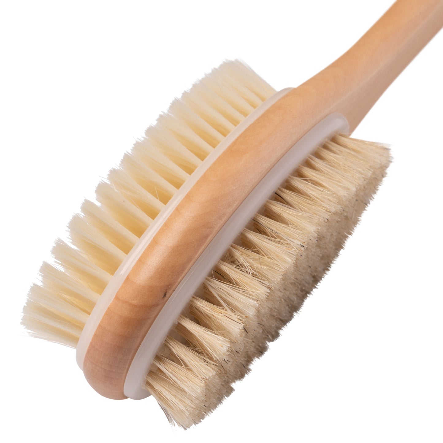 Brosse dorsale à long manche