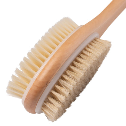 Brosse dorsale à long manche