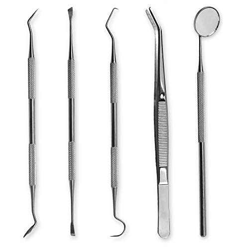 Ensemble de 5 instruments de soins dentaires 